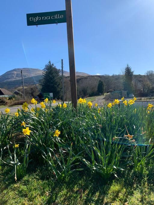 Tigh Na Cille Studio, Taynuilt Eksteriør billede